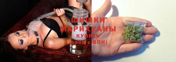 бошки Белокуриха
