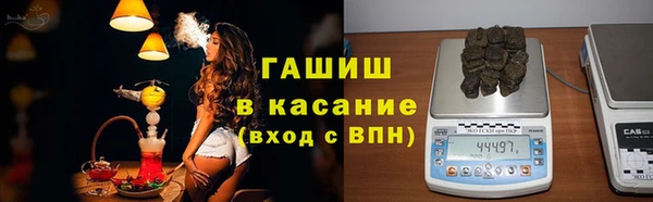 бошки Белокуриха