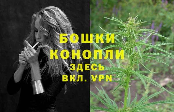 стаф Белоозёрский
