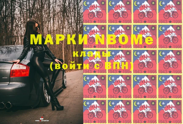 бошки Белокуриха