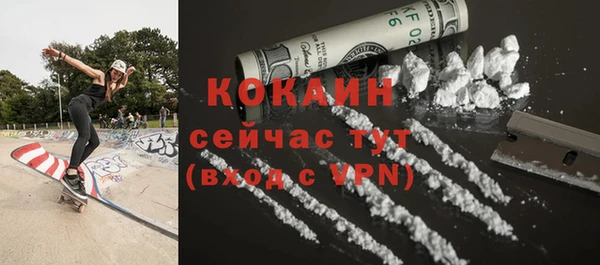 бошки Белокуриха