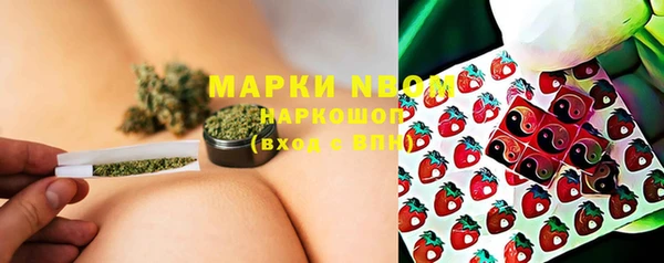 стаф Белоозёрский