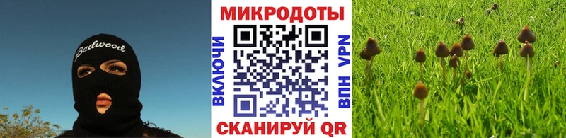 купить наркоту  Верхний Уфалей  Галлюциногенные грибы прущие грибы 